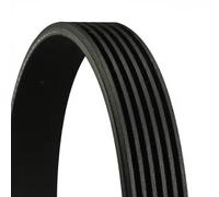 CONTITECH 6PK1836 Cinghia Poly-V