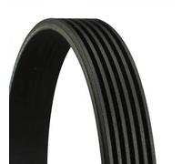Contitech 6 PK 1885 Cinghie Trapezoidale