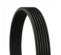 ContiTech Cinghia servizi 6PK1915 Poly‑V CTAM per Ford SsangYong