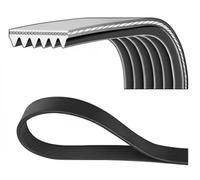 DAYCO 6PK2080HD Cinghia servizi