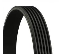 CONTITECH 6PK2115 Cinghia Poly-V