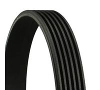 ContiTech Cinghia Poly-V 6PK2145 per Mercedes-Benz, BMW, Alfa Romeo, VW