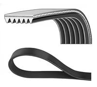 Dayco Cinghia Poly-V 6PK2245
