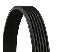 CONTITECH 6PK2250 Cinghia Poly-V, Cinghie di Trasmissione