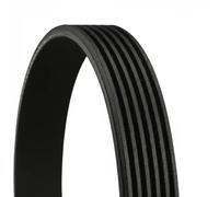 CONTITECH 6PK2260 Cinghia Poly-V