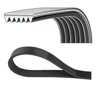 DAYCO 6PK2458S Cinghia servizi