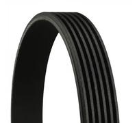 ContiTech Cinghia Poly-V 6PK2535 per Audi A8, Q7, Mercedes-Benz Classe S