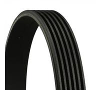CONTINENTAL CTAM Cinghia Poly-V 6PK2581