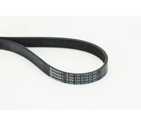 CONTITECH 6PK730 ELAST Cinghia servizi