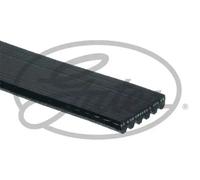 Cinghia trapezoidale multirighe 6PK743 GATES per LADA VW AUDI SKODA SEAT