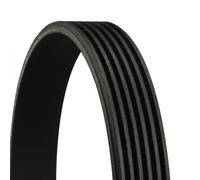 CONTITECH 6 PK 836 Cinghie Trapeiz