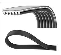 Cinghia Poly-V DAYCO 6PK853
