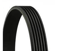 CONTITECH 6PK955 Cinghie Trapeiz