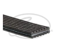 Cinghia trapezoidale multirighe 7DPK1360 GATES per VW FORD MERCEDES-BENZ