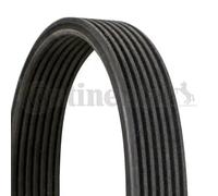 Cinghia trapezoidale multirighe 7DPK1697 CONTINENTAL CTAM per BMW 5 5 Touring