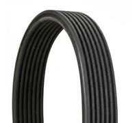 CONTINENTAL CTAM Cinghia Poly-V 7DPK1884