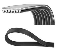 Dayco Cinghia Poly-V 7PK1095 per Toyota Hiace Dyna Hilux