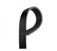 GATES 7PK1095 Cinghia servizi nero