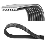 Dayco Cinghia Poly-V 7PK1103 scanalata per BMW, Opel, Nissan, Vauxhall