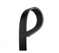 Cinghia Poly-V GATES 7PK1140 per NISSAN MICRA III (K12) 1.6 2005-201