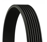 ContiTech Cinghia Poly-V 7PK1153 Cinghia servizi
