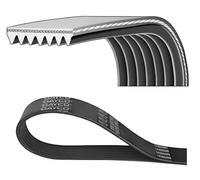 Cinghia Poly-V DAYCO 7PK1325