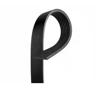 Cinghia Poly-V GATES GAT7PK1335