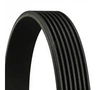 Cinghia Poly-V CONTINENTAL 7PK1538