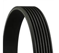 CONTITECH 7PK1605 Cinghie Trapeiz