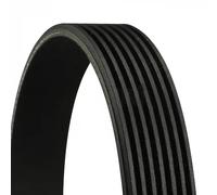 Cinghia Poly V Continental Ctam 7PK1623 per Bmw
