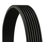 CONTITECH 7PK1629 Cinghia servizi