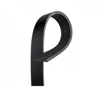Cinghia Poly-V GATES GAT7PK1645