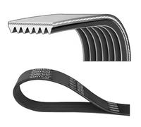 DAYCO 7PK1667S Cinghia servizi