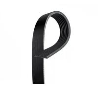 GATES 7PK1668 Cinghia servizi nero