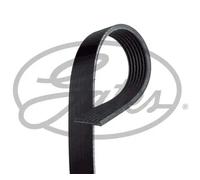 Gates Cinghia Poly-V 7PK1678 Nero