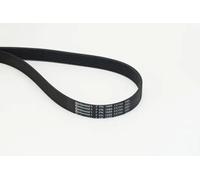 Cinghia trapezoidale multirighe 7PK1685 EXTRA CONTINENTAL CTAM per OPEL FIAT