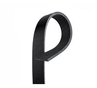 7PK1685 Cinghia Poly-V Gates