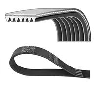 Cinghia Poly-V DAYCO 7PK1705DT