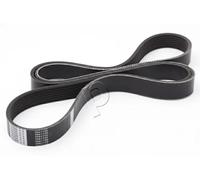 JAPKO 7PK1730 Cinghia servizi