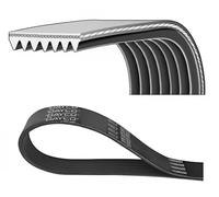 Cinghia Poly-V DAYCO 7PK1750