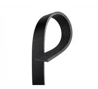 GATES 7PK1750 Cinghia servizi Cinghia Poly-V Cinghia alternatore Cinghia dei servizi