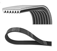 Cinghia Poly-V DAYCO 7PK1770