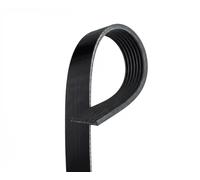 7PK1770 Cinghia Poly-V (MARCA-GATES)