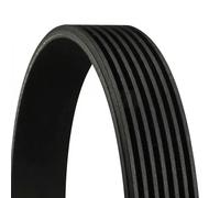 CONTITECH 7PK1785 Cinghia servizi