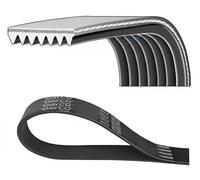 DAYCO 7PK1809 Cinghia servizi