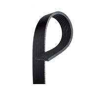 Cinghia Poly-V GATES 7PK1810