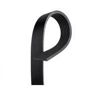 GATES 7PK1843 Cinghia servizi Cinghia Poly-V Cinghia alternatore Cinghia dei servizi