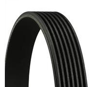 CONTITECH 7PK1855 Cinghia Poly-V