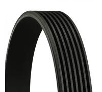 CONTITECH 7PK1920 Cinghia Poly-V