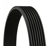 CONTINENTAL CTAM cinghia Poly-V 7PK1970 7PK1970 7 nervature 1.970 mm
